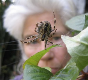 Self portrait.  2009.  Image by Honey Lee Cottrell