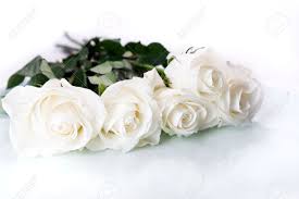 White roses